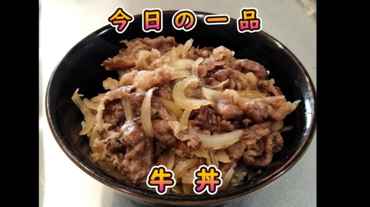 今日の簡単一品料理【牛丼】お酒の肴、献立に♪#４