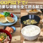 3食1000円以下で必要な栄養を全て摂る / 必須栄養素の摂取基準を目指した献立