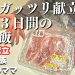 【夕飯の献立】節約がっつりメニューで平日３日間の晩ご飯レシピ【主婦の夜ご飯】