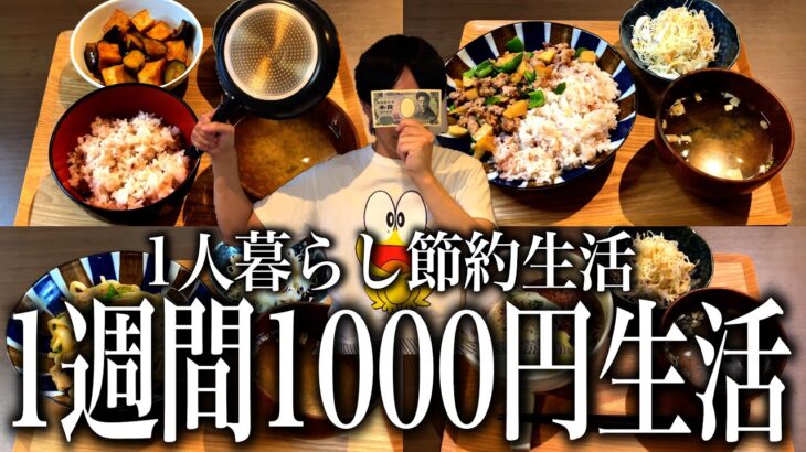 【1週間分紹介】彩りと健康と節約を極めろ！独身1人暮らしの1週間1000円生活【節約レシピ/自炊/献立/平日5日の夜ご飯/食費月1万円】