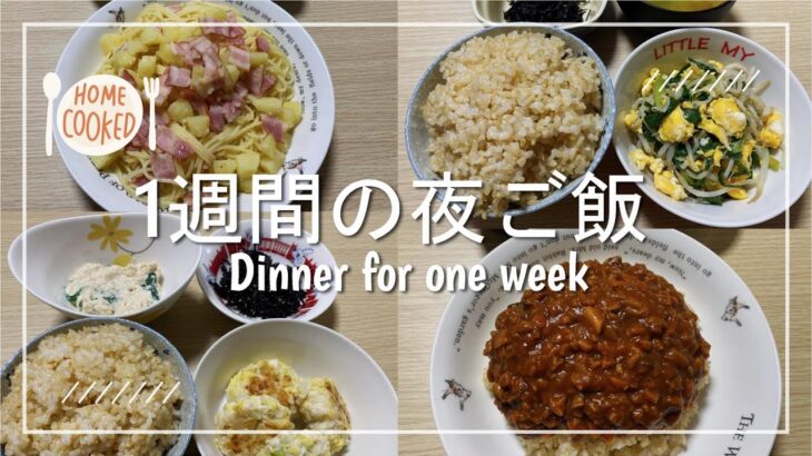 【夜ご飯】2人暮らし1週間の夜ご飯を3500円で作りました