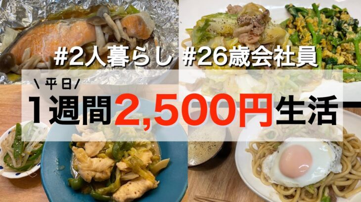 【節約】平日5日間2500円生活の2人暮らし晩ご飯レシピ【1週間の献立】/weekly cooking