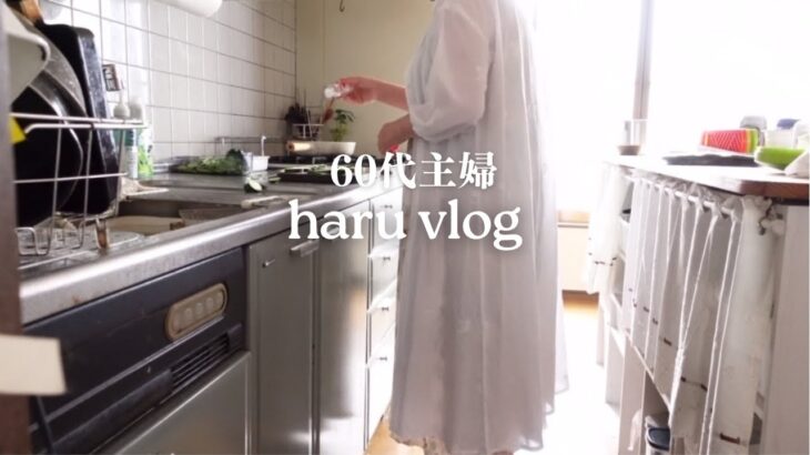 60代主婦の1週間Vlog /捨て活と断捨離 /ランドリーで￼毛布を洗う/毎日の献立/シニアライフ/暮らし/電気自動車電気代/おうち韓国料理/￼鯵の南蛮漬け/鯵の三枚おろし/筋トレ/シニア女性￼