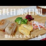 vol.22【1週間献立】給料日前５日間献立/厚揚げの肉詰め/むね肉のレモンマヨソース/冷凍餃子/とりマヨブロッコリー/肉巻きおにぎり/節約主婦/節約晩ご飯/節約レシピ/vlog