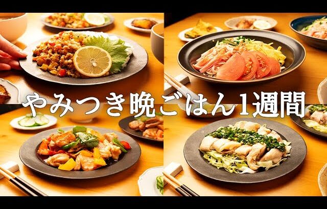 【1週間の夕飯】ひとくちで家族の胃袋をギュッと掴む晩ごはん5日間｜がっつり簡単レシピ