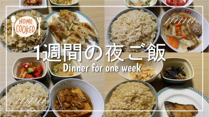 【夜ご飯】2人暮らし1週間の夜ご飯を3000円で作ってみた