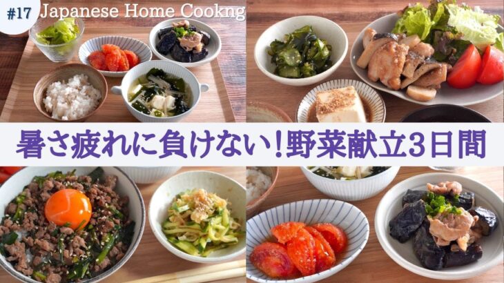 【3日間の夕飯献立】野菜とお肉の簡単レシピで夏の暑さ疲れを残さない！梅雨だるを吹き飛ばすスタミナ晩ごはん