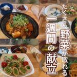 【1週間献立】簡単で美味しい！野菜を美味しく食べれる夜ご飯献立