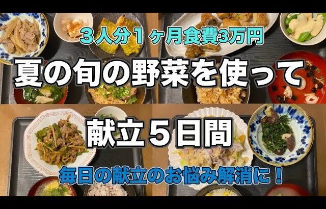 夏の旬の食材を使って献立５日間😌３人分１ヶ月3万円♡