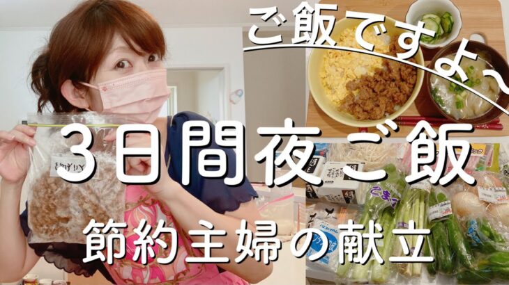 【夜ご飯献立】見切りの豚ひき肉、鶏ひき肉で節約献立/鶏そぼろ丼/ワンタンスープ/豚バラキャベツ/作り置きで日々の時短/節約主婦/時短/主婦vlog　料理vlog vol.35