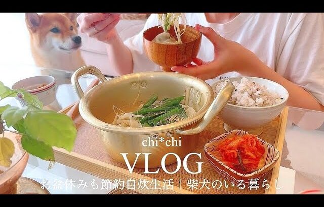 2人で食費週5,000円台の節約料理vlog👩‍🍳👛夏バテ解消4日分の献立レシピ🍲🌻犬の手作りごはんなど🐶🍳japanese food cooking vlog