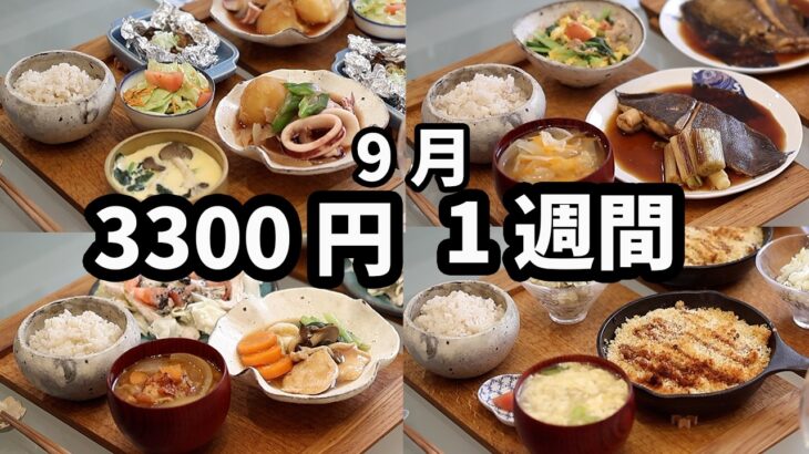 【夜ご飯 1週間献立】おかず3300円5日献立(2024年9月)2人暮らし (562)