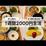 【料理Vlog】【1週間2000円生活】〜1人暮らしOLの30分で作る1週間の自炊記録〜 オムライス/麻婆白菜/鶏つくね/白菜のミルクスープ/マッシュルームのフリット