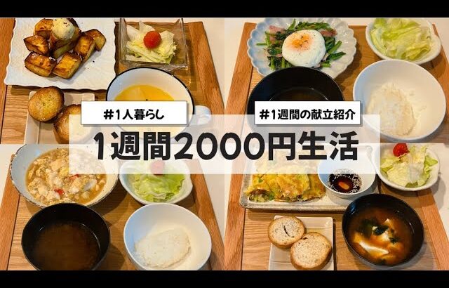 【料理Vlog】【1週間2000円生活】〜1人暮らしOLの30分で作る1週間の自炊記録〜