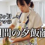 【妊娠後期突入】夕飯準備しながら色々ぼやく、1週間の献立記録