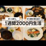 【料理Vlog】【1週間2000円生活】〜1人暮らしOLの30分で作る1週間の自炊記録〜 肉巻きおにぎり/鮭のクリームパスタ/しそチーズ豚カツ/ナスの唐揚げ/ナスの蒲焼丼/和風オムレツ