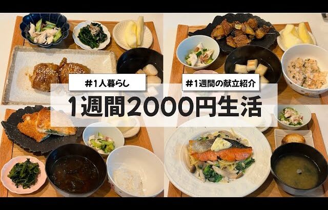 【料理Vlog】【1週間2000円生活】〜1人暮らしOLの30分で作る1週間の自炊記録〜 肉巻きおにぎり/鮭のクリームパスタ/しそチーズ豚カツ/ナスの唐揚げ/ナスの蒲焼丼/和風オムレツ