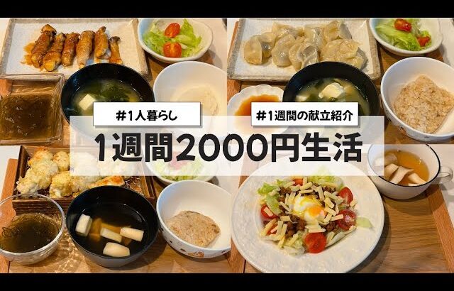 【料理Vlog】【1週間2000円生活】〜1人暮らしOLの30分で作る1週間の自炊記録〜  タコライス/ささみのあおさチーズ巻き/エリンギの肉巻き/小籠包/お好み焼き