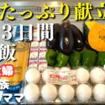 【３日間の晩ご飯献立】野菜多めの簡単レシピ！【節約主婦の夕飯】