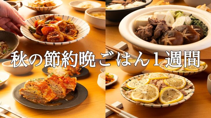 【1週間の秋晩ごはん】白菜まるまる使い切り！「献立考えるの疲れた…」を解決する秋の時短レシピ / まとめ買い🍁🍄