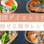 【1週間ダイエット弁当】お気に入りTOP5で毎日飽きない痩せるお弁当レシピ