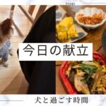 【ヨーキー】簡単ご飯を食べて犬と過ごす幸せ時間　50代夫婦の日常