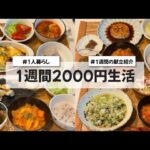 【料理Vlog】【1週間2000円生活】〜1人暮らしOLの30分で作る1週間の自炊記録〜  キャベツのラザニア/ミネストローネ/のりしおささみ/鶏と豆腐のハンバーグ/焼き鳥