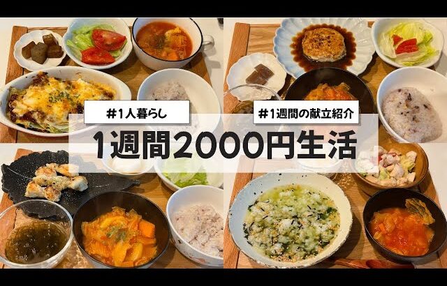 【料理Vlog】【1週間2000円生活】〜1人暮らしOLの30分で作る1週間の自炊記録〜  キャベツのラザニア/ミネストローネ/のりしおささみ/鶏と豆腐のハンバーグ/焼き鳥