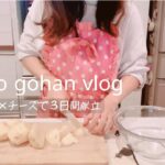 【夜ご飯献立/主婦vlog】じゃがいも×チーズで３日間献立/OKストアで日用品/カルディ商品でランチ vol.52