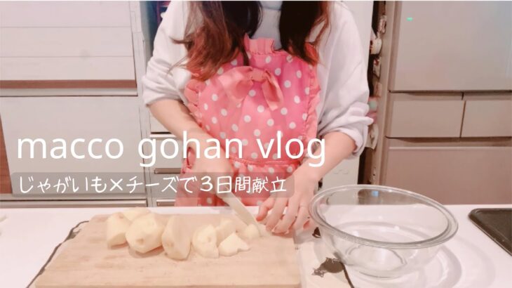 【夜ご飯献立/主婦vlog】じゃがいも×チーズで３日間献立/OKストアで日用品/カルディ商品でランチ vol.52