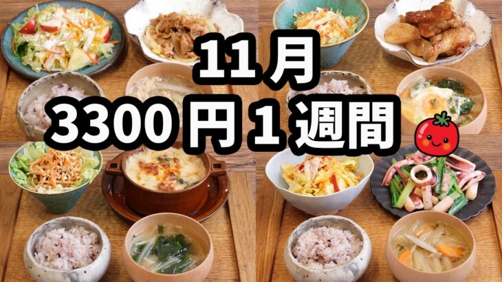 【夜ご飯1週間献立】スーパーの食材で作る5日間の超満足献立 長芋メインにりんごサラダ(2024年11月)2人暮らし (583)