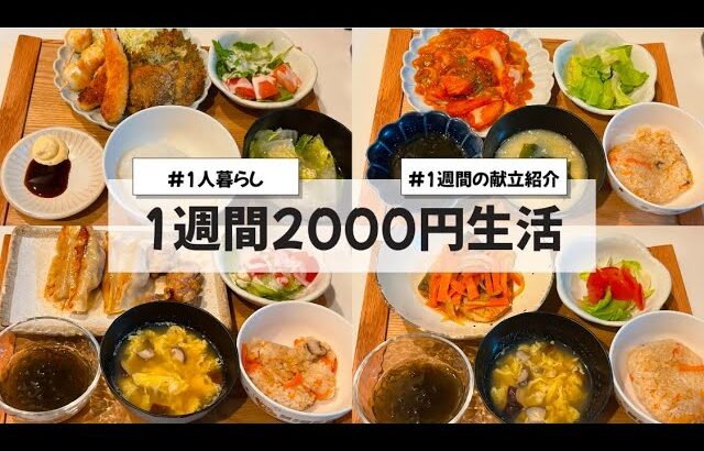 【料理Vlog】【1週間2000円生活】〜1人暮らしOLの30分で作る1週間の自炊記録〜 海老餃子/フライ/鯖の南蛮漬け/ハヤシライス/あんかけ焼きそば/ひき肉とトマトのチーズ焼き