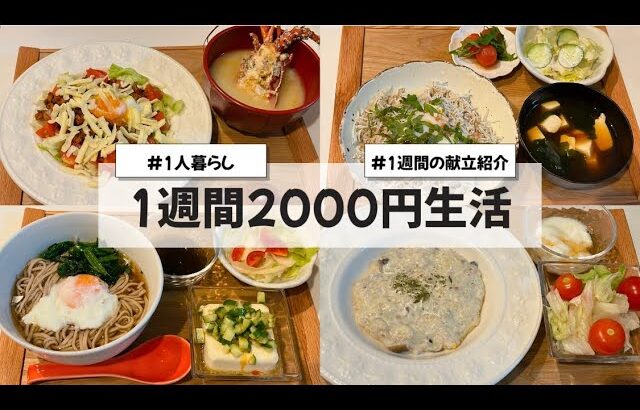 【料理Vlog】【1週間2000円生活】〜1人暮らしOLの30分で作る1週間の自炊記録〜リゾット/バターチキンカレー/サルサ風/タコライス/ダイエット/しらす丼