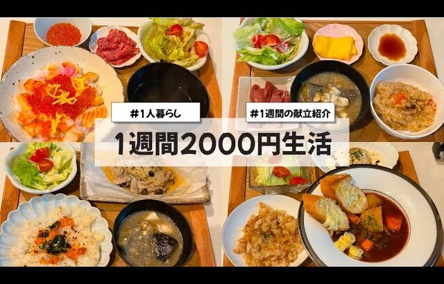 【料理Vlog】【1週間2000円生活】〜1人暮らしOLの30分で作る1週間の自炊記録〜