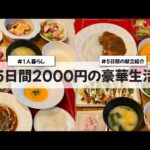 【料理Vlog】【5日間2000円の豪華生活】〜1人暮らしOLの30分で作る5日間の自炊記録〜 ネギ焼き/焼き鯖の炊き込みご飯/カレー/煮込みハンバーグ/にんじんのポタージュ