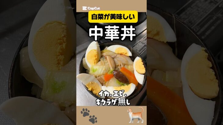 【白菜】中華丼 #asmr #中華丼 #おうちごはん #料理 #節約 #時短レシピ #飯テロ #献立 #ごはん #肉 #白菜 #簡単 #美味しい #レシピ #おかず #開運 #猫 #夕食 #中華 #丼