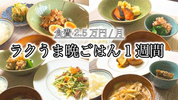 【1週間献立】和食料理人が作る  二人暮らし5日間晩ごはん献立/大根1本使い切りレシピ