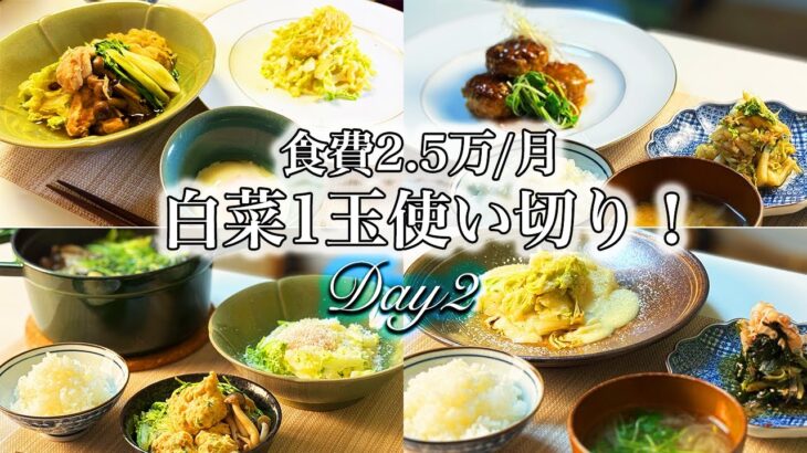 【1週間献立】和食料理人が作る  二人暮らし5日間晩ごはん献立2日目/白菜1玉使い切りレシピ