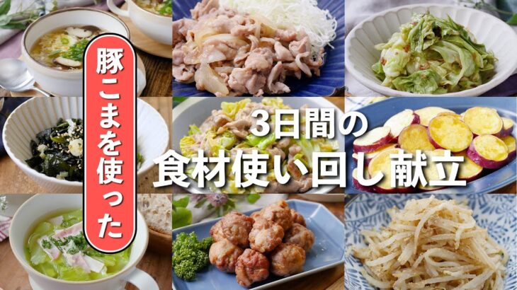 【節約＆簡単】豚こま肉で絶品おかず！ボリューム満点の3日間献立レシピ