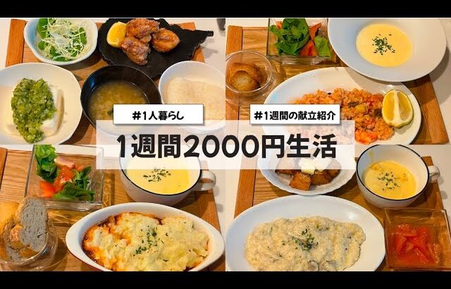 【料理Vlog】【1週間2000円生活】〜1人暮らしOLの30分で作る1週間の自炊記録〜