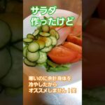 【超簡単】サラダを作ったけど身体が冷えるので冬はオススメできない！笑【生野菜】 #料理 #献立 #今日の献立 #cooking #簡単レシピ