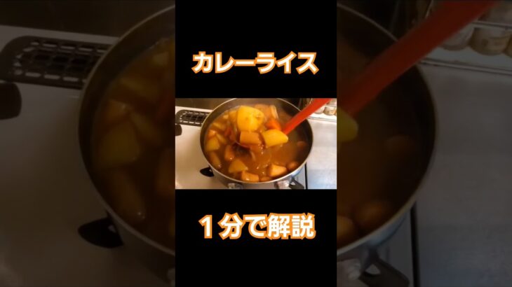 【１分解説】カレーライスをショート尺で無理矢理解説【簡単】 #料理 #献立 #簡単レシピ #今日の献立 #カレー