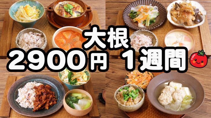 【夜ご飯 1週間献立】温まる節約レシピ おかず2900円 (2025年2月)　5日間 2人暮らし  (594)