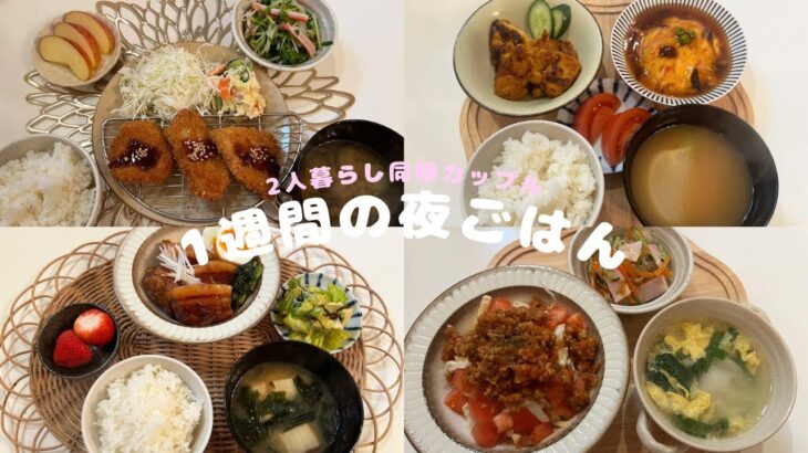 2人暮らし同性カップル リアルな1週間の夜ご飯🌙🍚