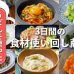 【3日間のうどんレシピ献立】毎日違う味で楽しめる簡単＆美味しい献立レシピ♪